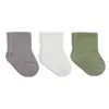Bistyle Çorap Soket 3lü Penye Koala Boy Gri - Ekru - Nil