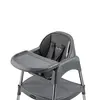 Pierre Cardin Cookie Mama Sandalyesi Silver Antrasit