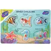 Playwood Ahşap Tutmalı Deniz Canlıları
