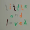 Hvc T-Shirt Little And Loved Yeşil