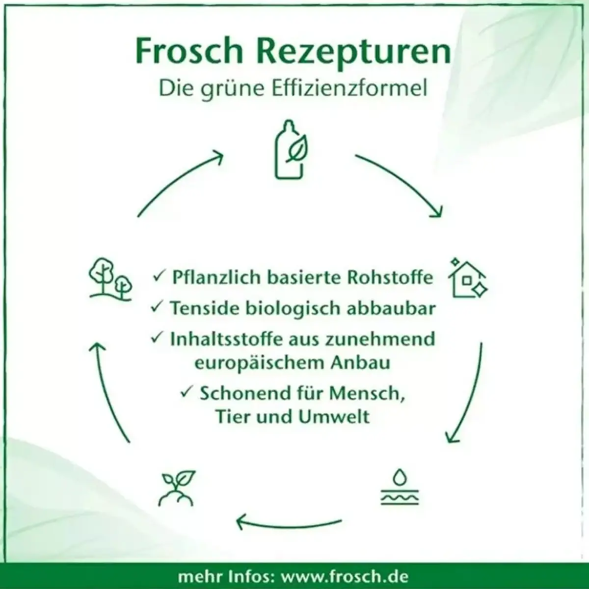 Frosch Baby Biberon Deterjanı 500 ml