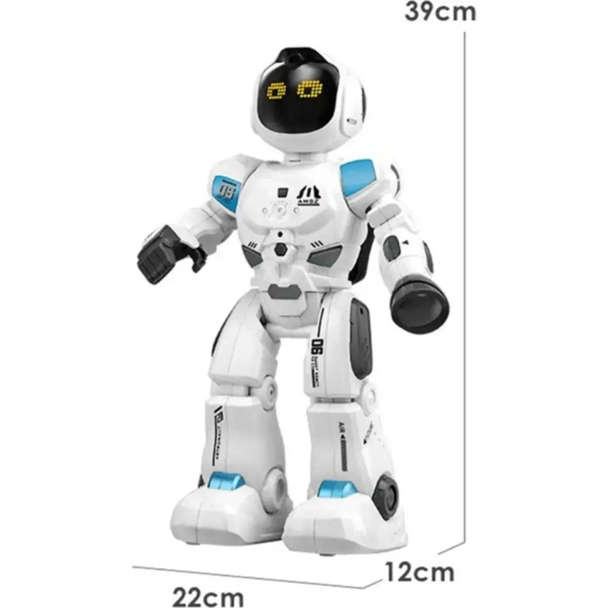 Çok Fonksiyonlu Akıllı Robot