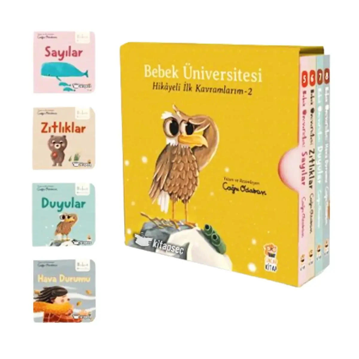 Bebek Üniversitesi 2- Hikayeli İlk Kavramlarım Set ( 4 Kitap)
