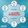 Hayat Doğal Mineralli Su 6lı