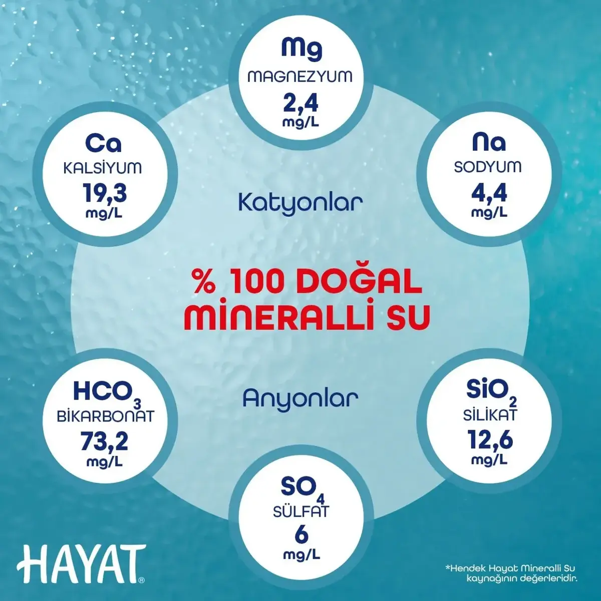 Hayat Doğal Mineralli Su 6lı