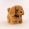 Toycraft Display Akıllı Köpek Sesli Pilli