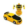 Robot Olan Araba