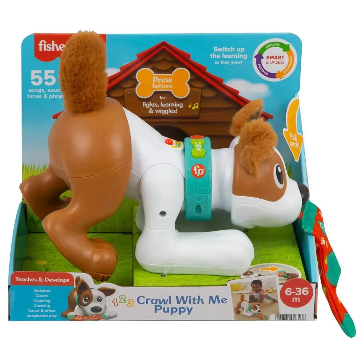 Emeklemeyi ve Saymayı Öğreten Köpekçik