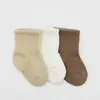 Bistyle Soket Çorap Penye 3lü Dog Boy Bej - Ekru - Kahverengi