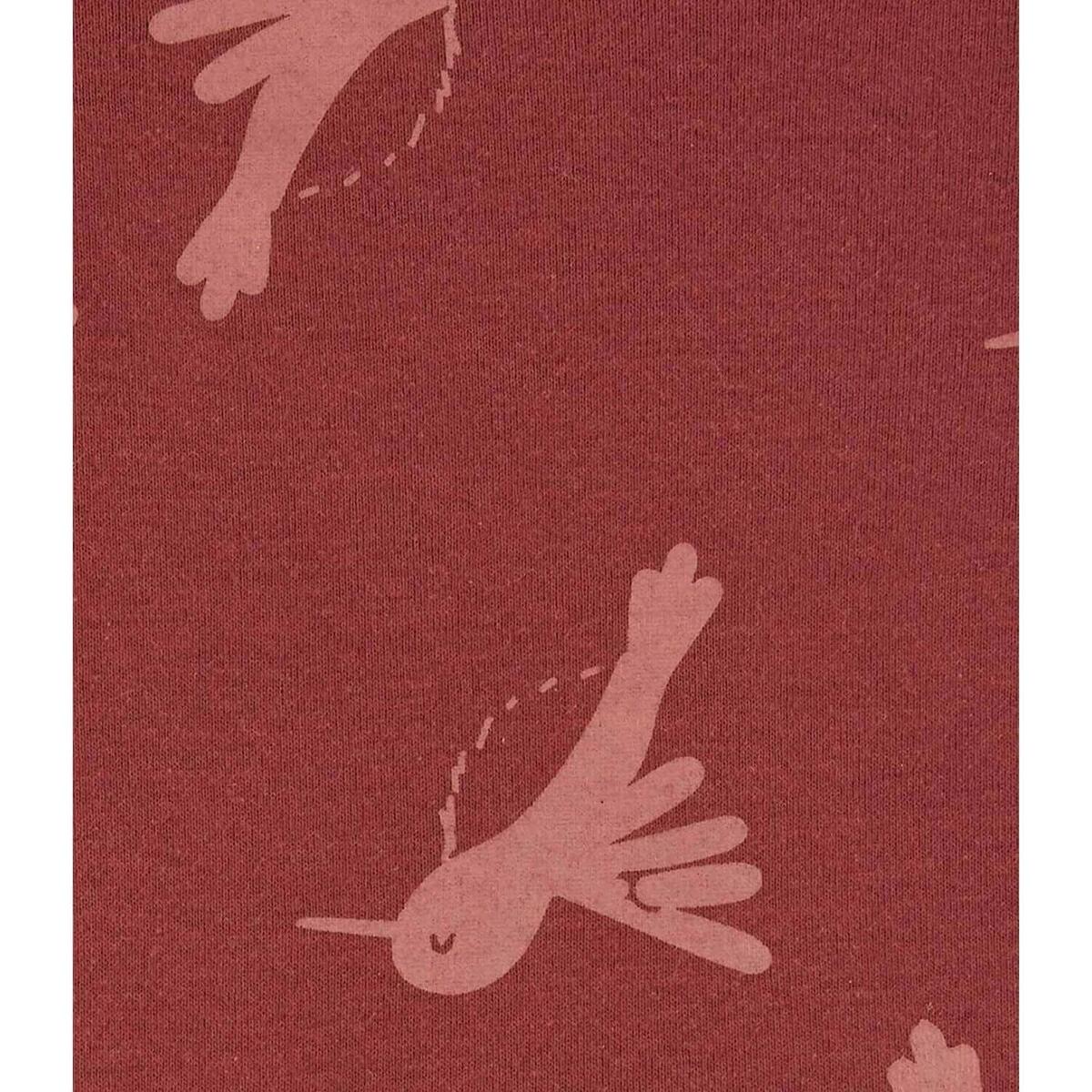 Carter's Body Takımı 5li Çok Renkli