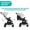 Chicco Ohlala İkiz Bebek Arabası Silver Cat