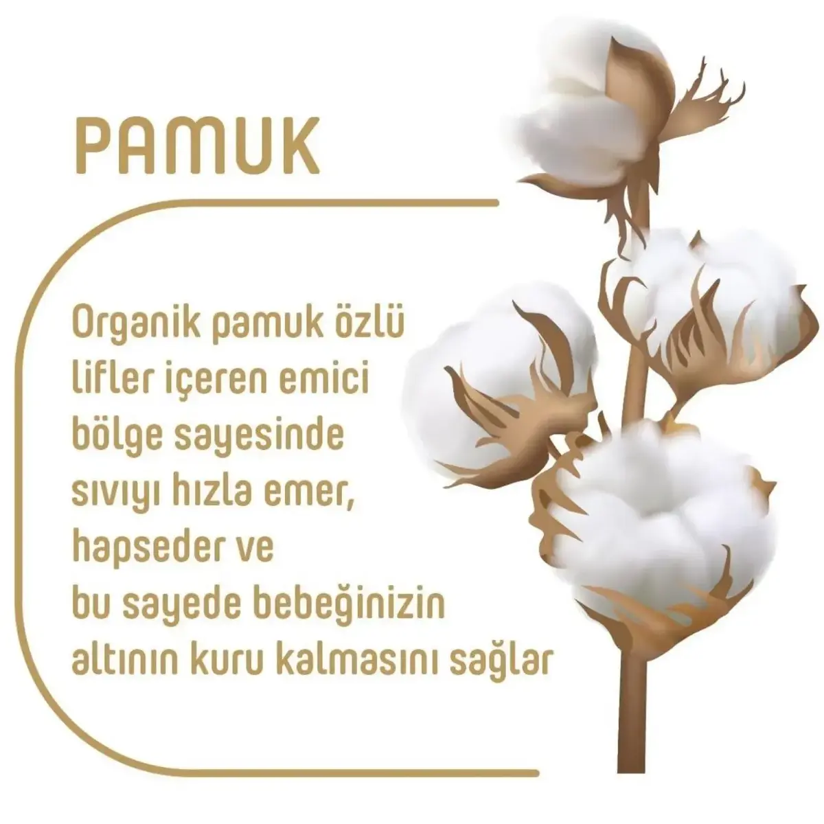 Pure Baby Organik Bebek Bezi 5 Beden Junior 76lı Islak Mendil Hediyeli