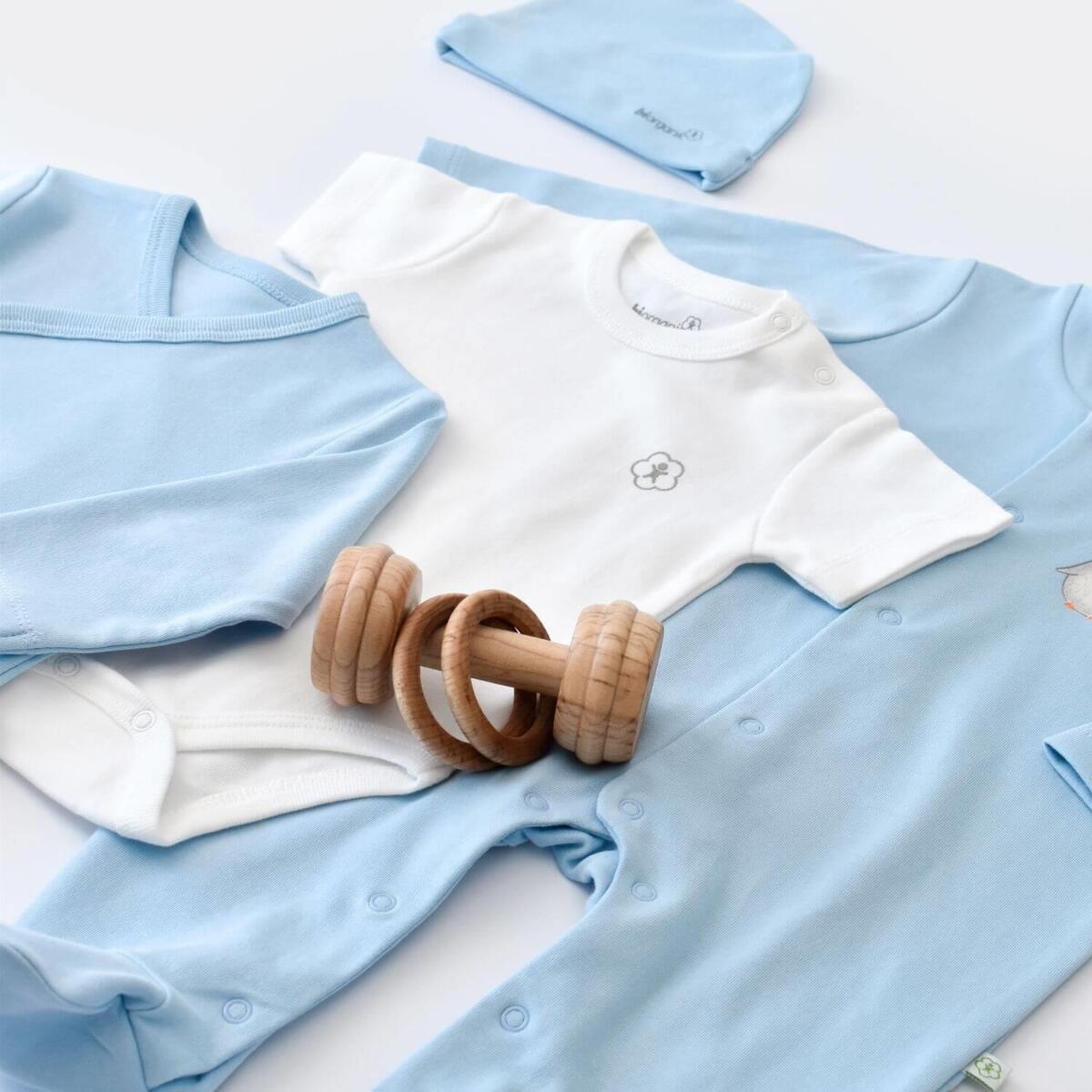 Bibaby Organik Hastane Çıkışı 10lu Hello New Penguins Mavi