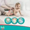 Prima Pants Külot Bebek Bezi 4 Beden Maxi 9-15 Kg 62li Fırsat Paketi