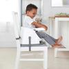 Ingenuity Baby Base Portatif Mama Sandalyesi Pink Flambe