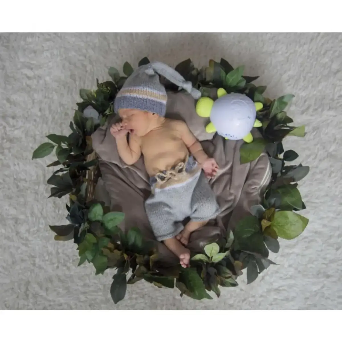 Uyku Mucizesi Kaplumbağa