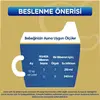 Bebelac Gold 3 Devam Sütü 800 gr