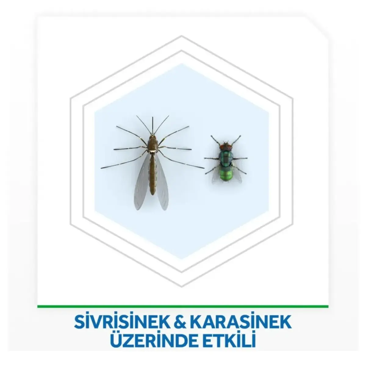 Raid Gece&Gündüz Yedek 