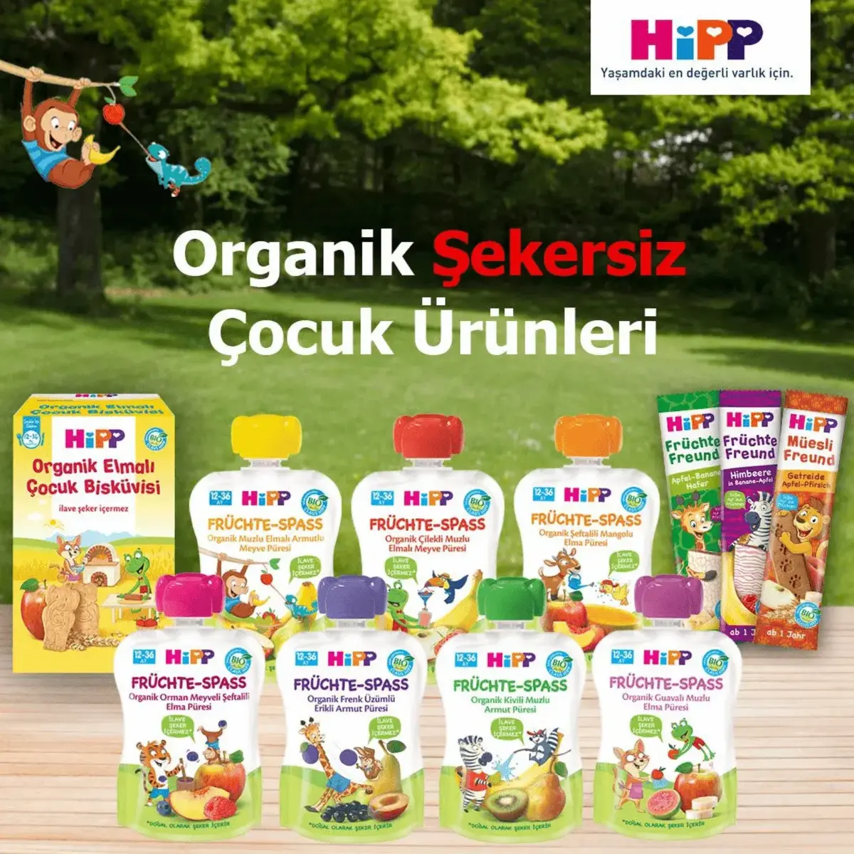 Hipp Organik Kivili Muzlu Armut Püresi 100 gr x3