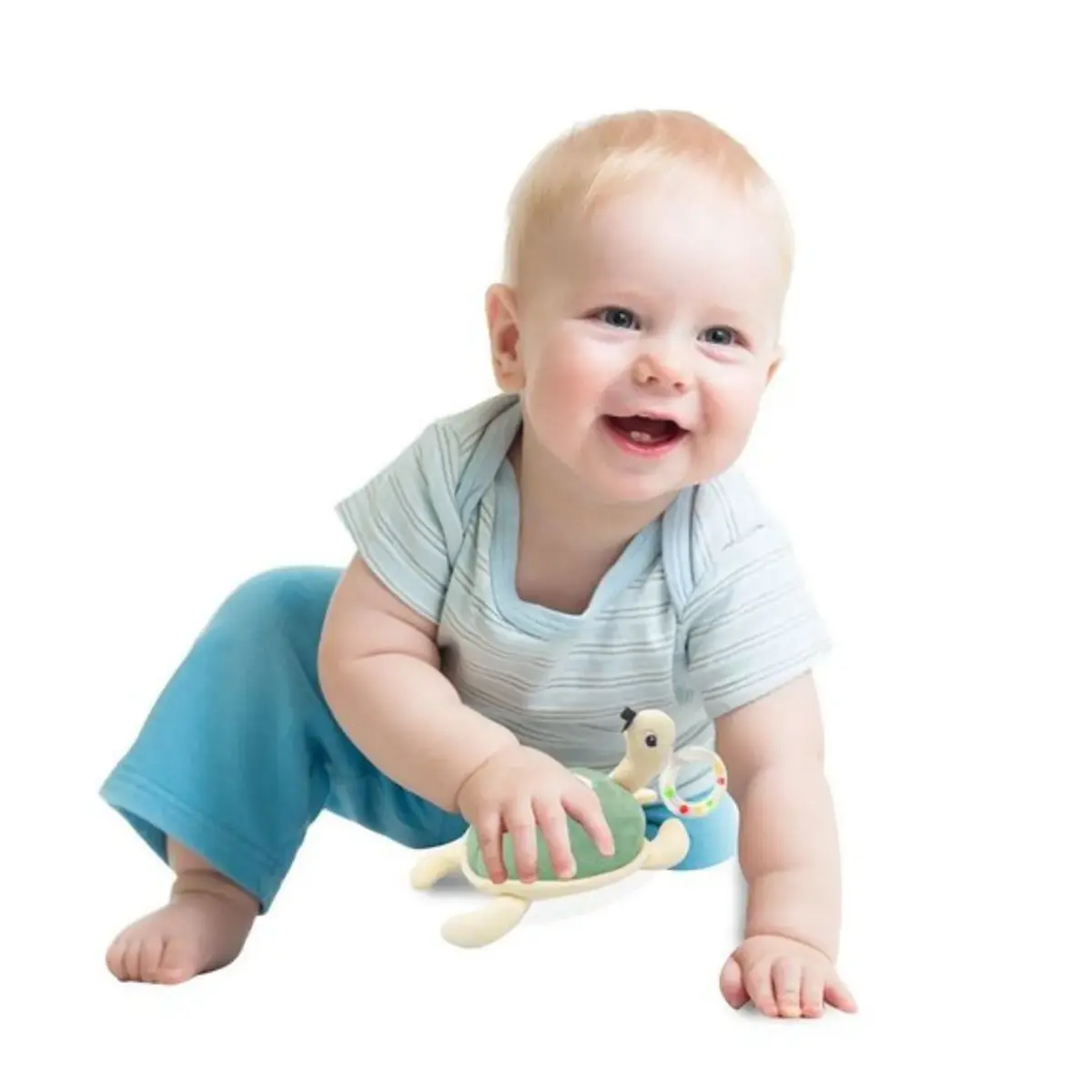 Babyjem Çıngıraklı Kaplumbağa Mint