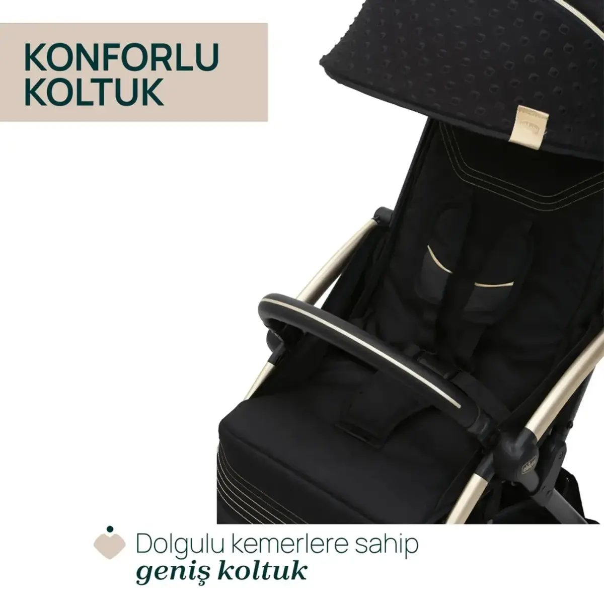 Chicco Goody XPlus Kabin Travel Sistem Bebek Arabası Dark Shadow