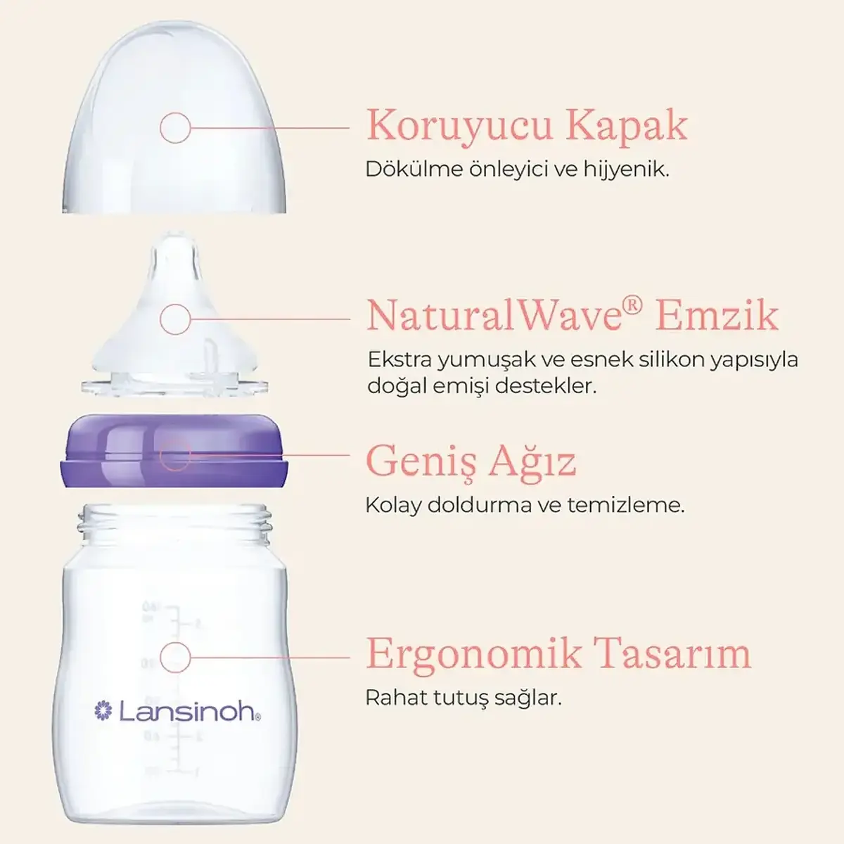 Lansinoh PP Biberon Seti 2li 330 ml 6+ Ay