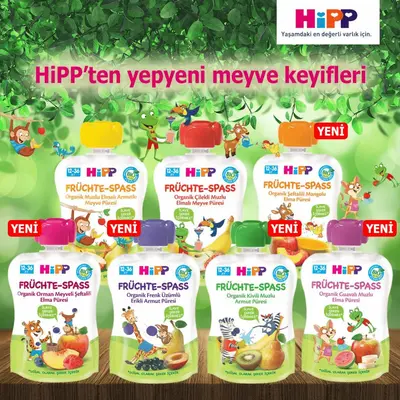 Hipp Organik Kivili Muzlu Armut Püresi 100 gr x3