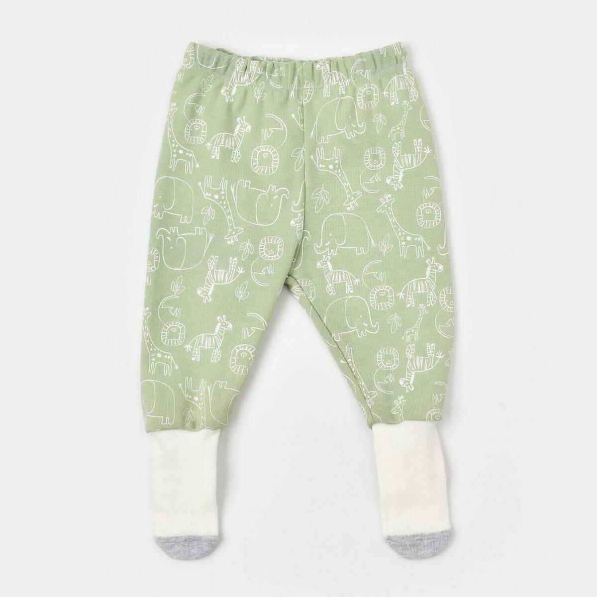 Bibaby Çoraptolon Zoo Is Good Lime Cream