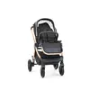 Duux Pro Max Travel Sistem Bebek Arabası Black