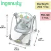 Ingenuity Swing & Go Taşınabilir Salıncak