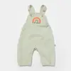 Bibaby Organik Salopet Tulum Tiny Birds Ekru - Yeşil