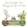Baby Turco Doğadan Bebek Bezi 2 Beden Mini 48li Fırsat Paketi