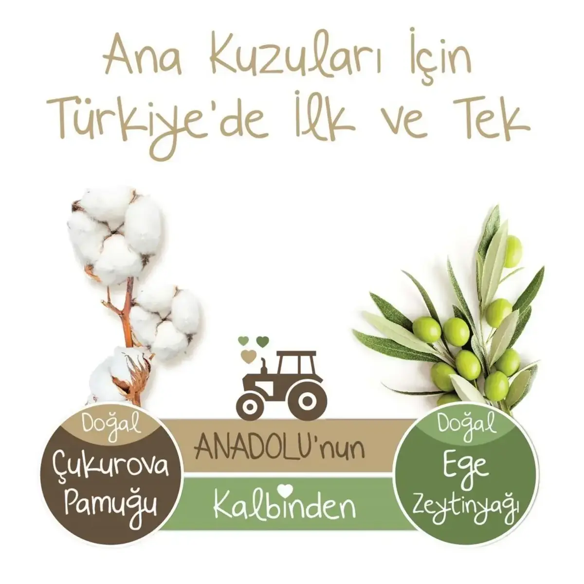 Baby Turco Doğadan Bebek Bezi 2 Beden Mini 48li Fırsat Paketi