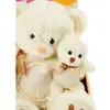 Peluş Ayı Türkçe Masal Anlatan 