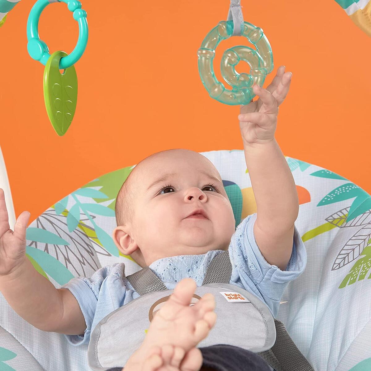Bright Starts Taşınabilir Salıncak Yağmur Ormanı
