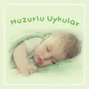 Hero Baby Kaşık Maması Sütlü Elmalı 8 Tahıllı 250 gr