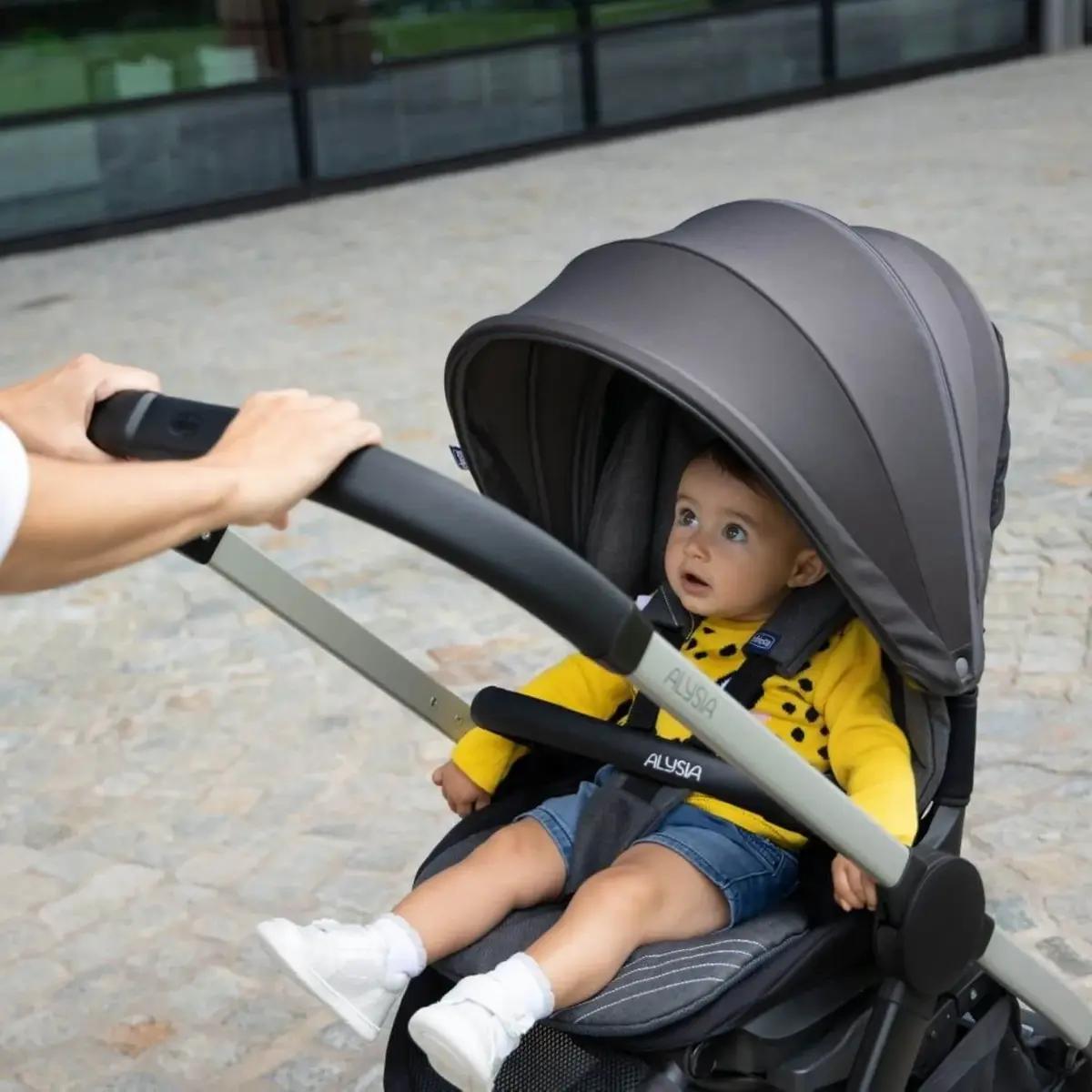 Chicco Trio Alysia I-Size Travel Sistem Bebek Arabası Anthracite