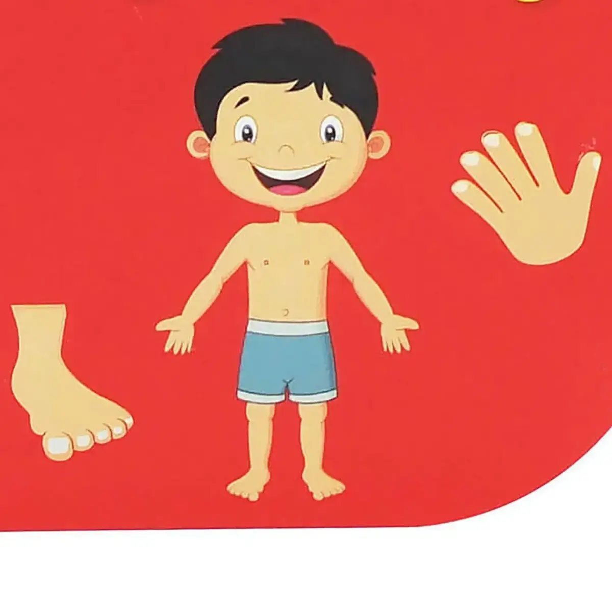 Minik Kitaplarım-Vücudumuz