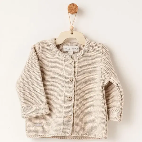 Andy Wawa Ceket Triko Basic  Bej