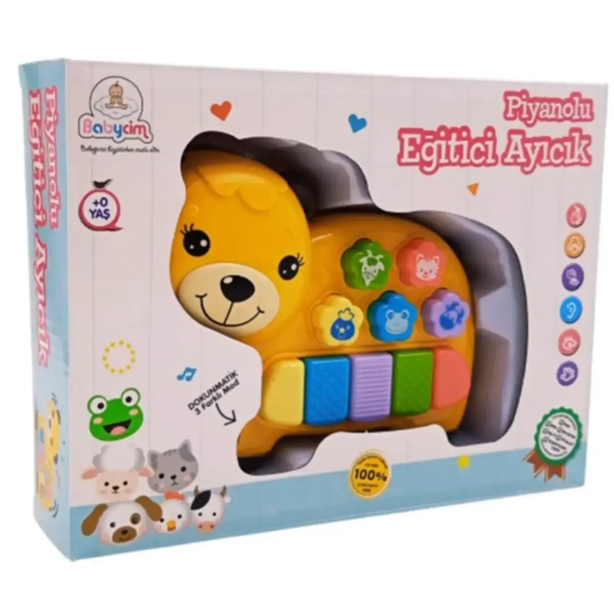 Piyanolu Eğitici Ayıcık