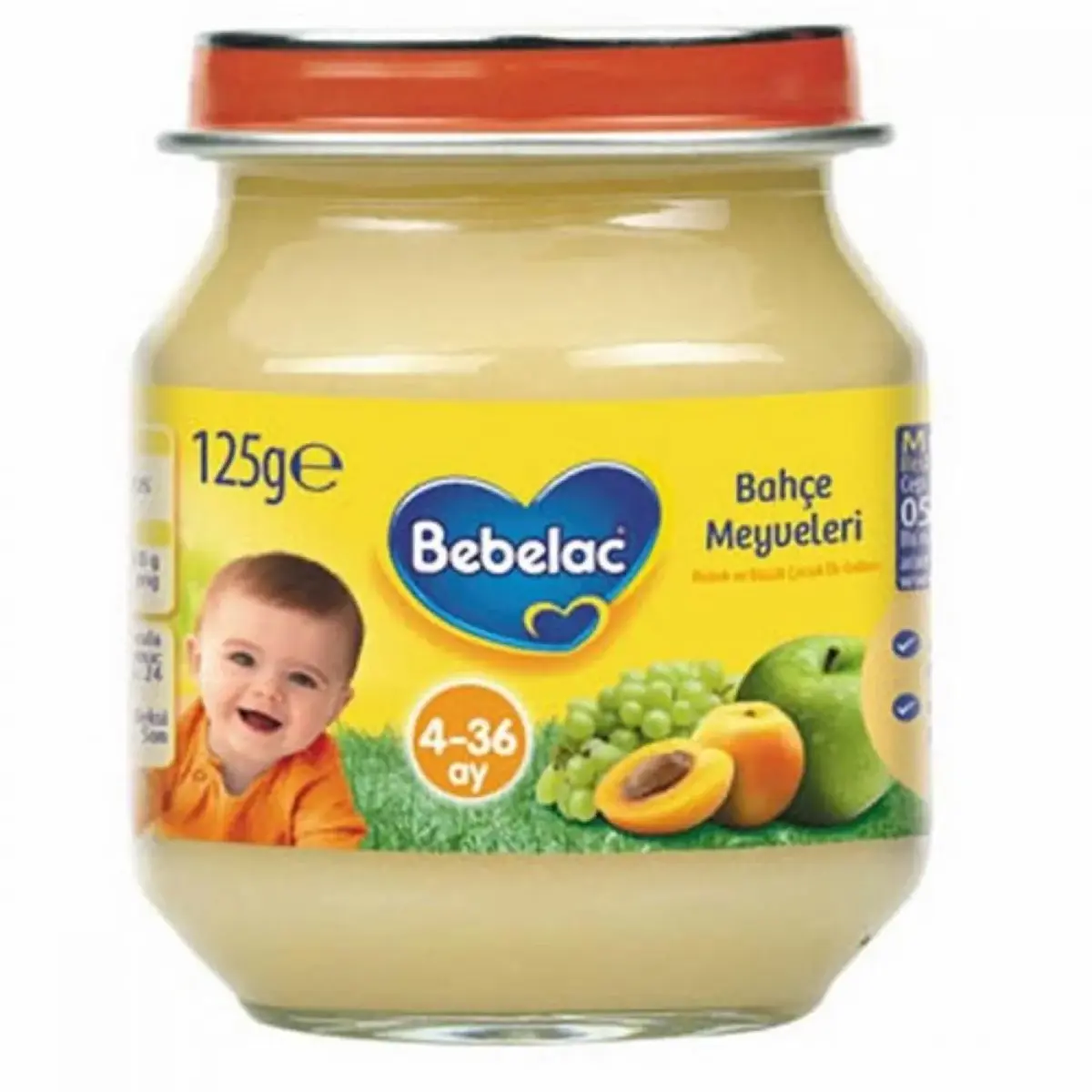 Bebelac Kavanoz Mamaları Meyve Salatası 125 gr