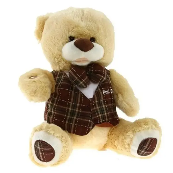 Profesör Bobo Konuşan İnteraktif Peluş Ayıcık 30 cm