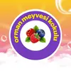 Dalin Köpük Sabun Orman Meyveli 200 ml
