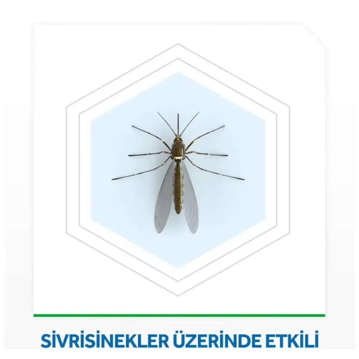Raid Elektro Likit 45 Gece Sistem 35 ml