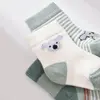 Bibaby Organik Çorap Soket 3lü Koala Nil