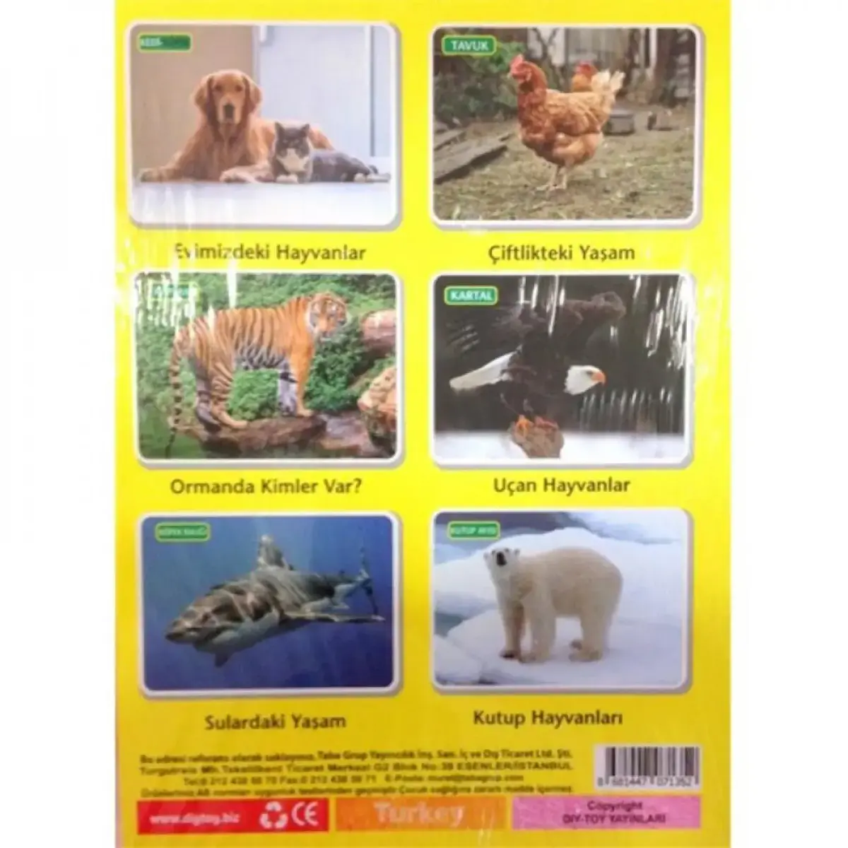 Flash Kart Yaşam Alanlarında İlk 50 Hayvan