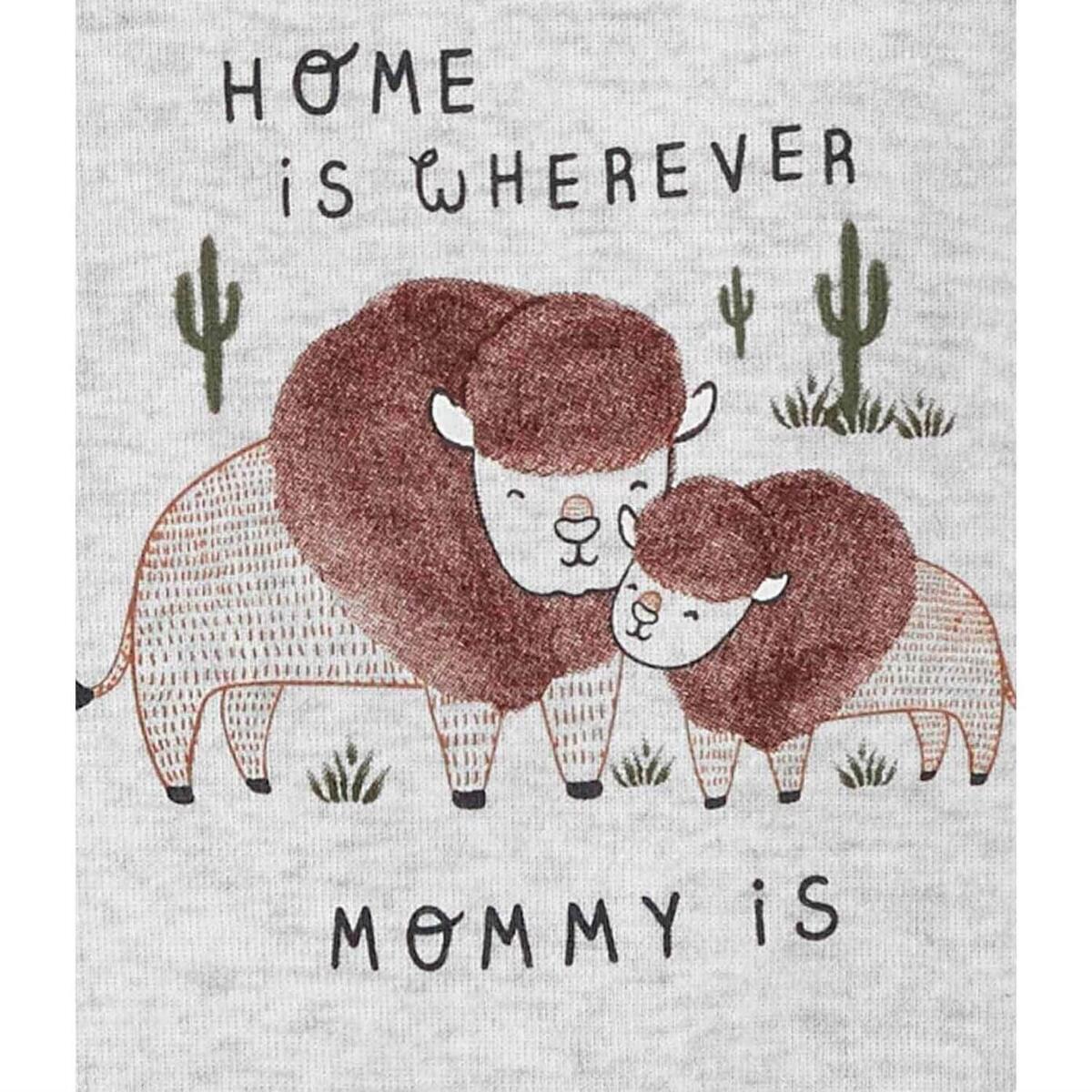 Carter's Body Takımı 5li Çok Renkli