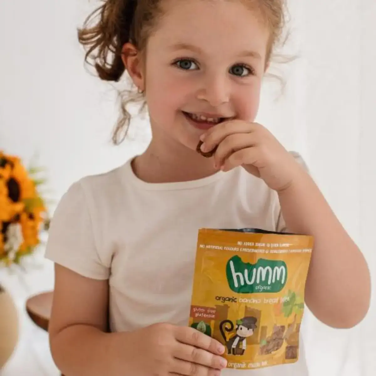 Humm Organik Glutensiz Vegan Muzlu Kek 30 gr