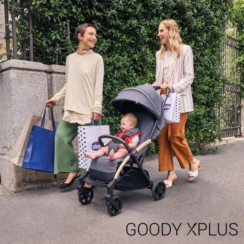 Chicco Goody XPlus Kabin Bebek Arabası Pearl Grey