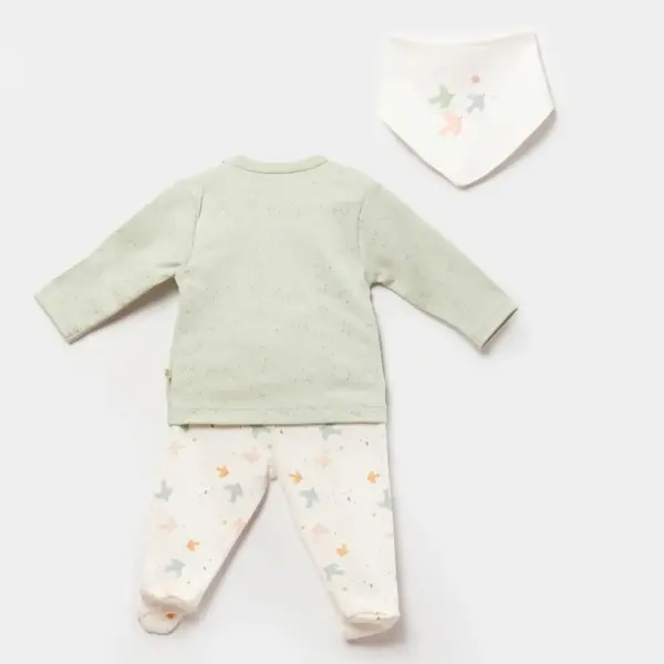 Bibaby Organik 3lü Takım Tiny Birds Ekru - Yeşil